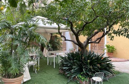 Sant'Agnello Bed & Breakfast | Le Dimax