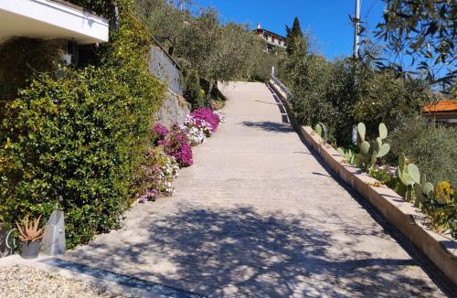 Chiavari House | Le Drupe
