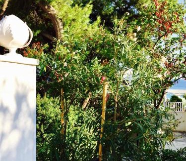 Taranto House | Le Due Pigne
