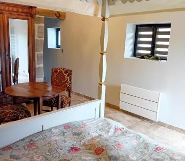 Brive-la-Gaillarde Apartment | Le Forestier - 1 Pièce