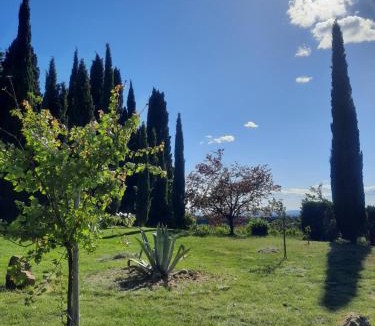 Sablet Apartment | Le gîte Calluna