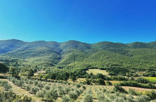 Saint-Martin-de-Castillon House | Le Grand Hermas
