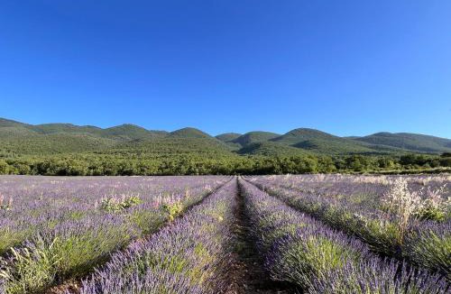 Saint-Martin-de-Castillon House | Le Grand Hermas