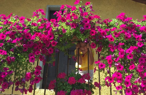 Palagano House | Le Lame - Ancient Mountain House not far from Modena Reggio E. and Bologna