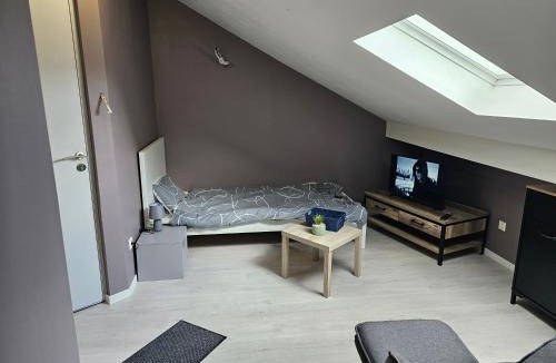 Haucourt-Moulaine Apartment | Le Manoir Enchanté