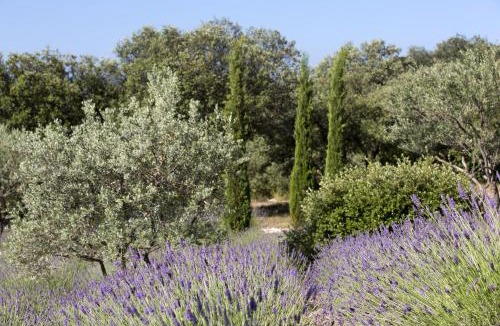 Saint-Saturnin-les-Apt Hotel | Le Mas de Garrigon - Boutique Hôtel & Spa