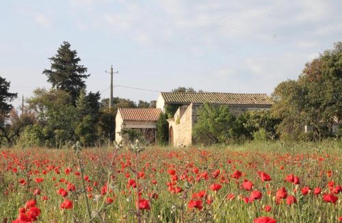 Richerenches Bed & Breakfast | Le Mas De La Seuve