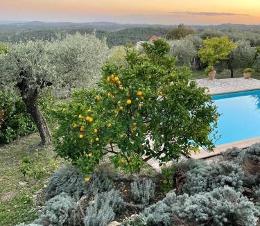 Opio Villa | Le Mas sous le Vent exclusive Villa 3 rooms 2 kitchens 2 bathrooms