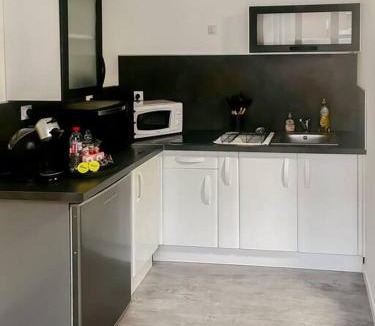 Romans-sur-Isere Apartment | Le Milano - Studio Centre ville - Romans