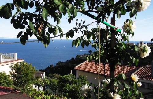Benincasa House | Le Mimose