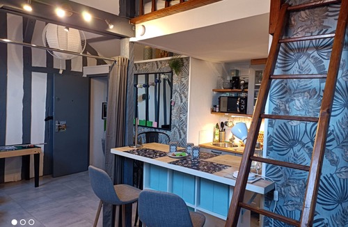 Montargis Apartment | Le Mini Loft * La Suite, Montargis.