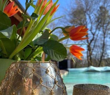 Moustey Villa | Le Moulin d'Hourtoy