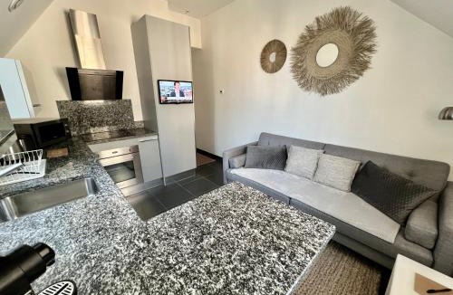 Dijon Centre Ville Apartment | Le P'tit Charmant : centre historique de Dijon
