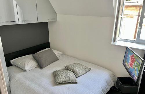 Dijon Centre Ville Apartment | Le P'tit Charmant : centre historique de Dijon