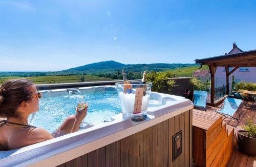 Itterswiller Apartment | Le Panoramic & Spa