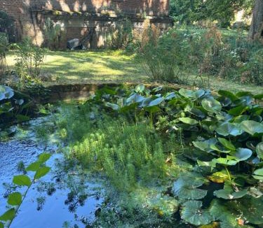 Meursanges Bed & Breakfast | Le Pavillon de l'Orangerie