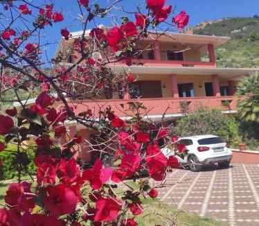 Bosa House | Le Pavoncelle
