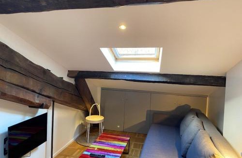 Gorge de Loup Apartment | Le Petit Arloing-Studio Quais de Saône Vaise