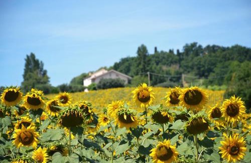 Cupramontana Bed & Breakfast | LE PIUME B&B