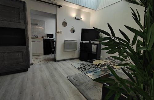 Up 1.5 Saint-Ferreol Apartment | Le polygone wifi parking proche