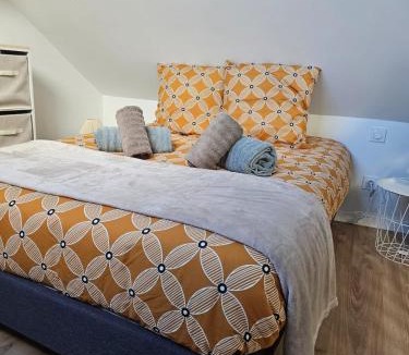 Chateau-Gontier Apartment | Le Ptit nid Cocon au cœur du centre ville