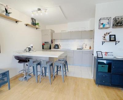 Illkirch-Graffenstaden Apartment | Le reflet de l'Ill - Appartement calme au bord de l'Ill