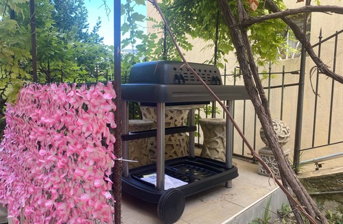 Cimiez Apartment | Le Repos de Nice - 2 Pièce Avec Jardin