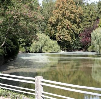 Mezieres-sur-Oise Bed & Breakfast | Le Robinson