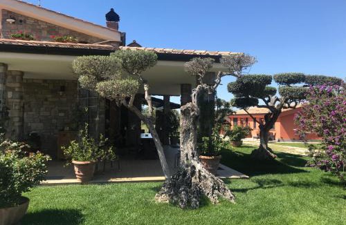 Nettuno Bed & Breakfast | Le Rose