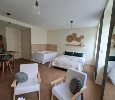 Feurs Apartment | Le Ségusiave SPA