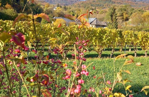 Apremont Hotel | Le Saint Vincent