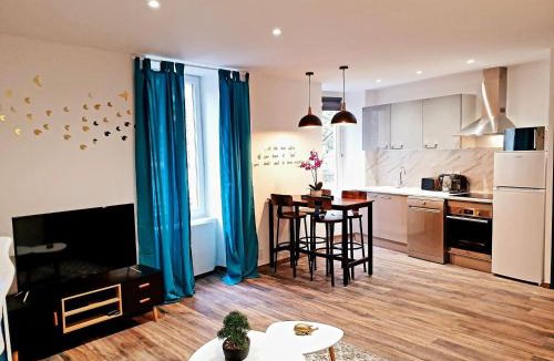 Saint-Affrique Apartment | Le saphire St Affrique hyper centre ville