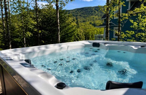Saint-Philemon Ski Chalet | Le Skyvue - Massif du Sud Mountain View Pets