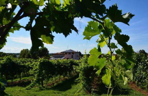 Monteveglio House | Le Stanze di Bacco
