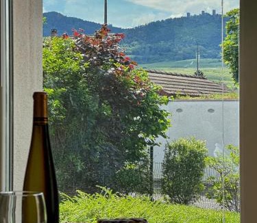 Eguisheim Apartment | Le Studio des Vignes