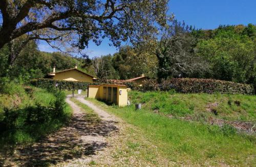Massa Marittima House | LE SUGHERE