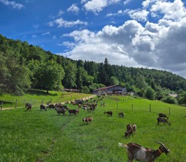Servance-Miellin Bed & Breakfast | Le temps d'une pause bed and breakfast