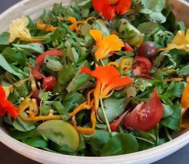 Chiny Bed & Breakfast | Le Thirifays