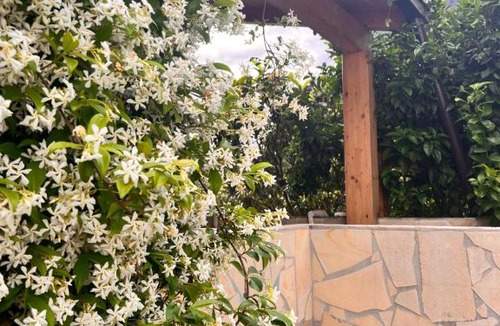 Maratea Bed & Breakfast | Le Tre Rose