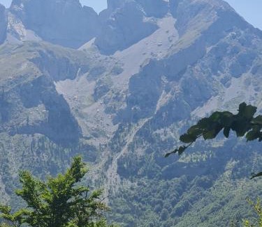 Kolasin Municipality Cabin | Lekic B&B