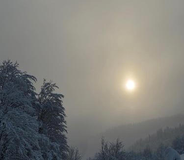 Kolasin Municipality Cabin | Lekic B&B