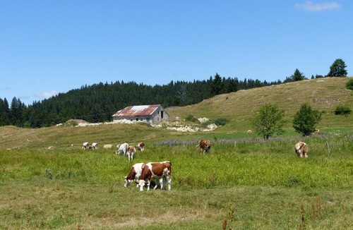Lelex Apartment | Lelex Monts-Jura to rent studio facing south and resort center