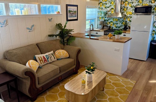 Homosassa House | Lemon Drop a Tiny Home Near Springs & Gulf