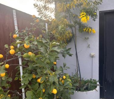 Montebelluna House | Lemon house