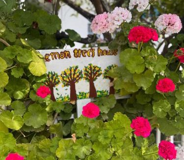 Kalavarda House | Lemon tree's house