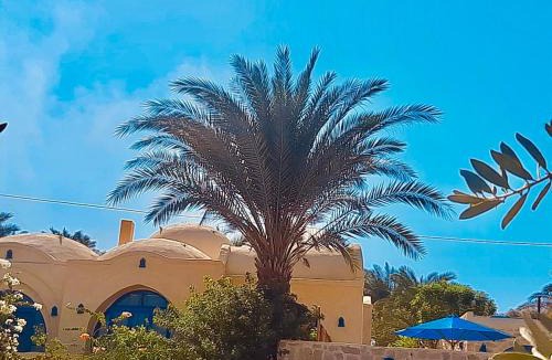 Tunis Village Villa | Lemon tree villa