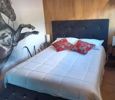 Barcelos Hotel | Leonchic - Guest House com Piscina de Água Salgada