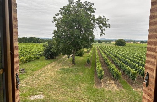 Lisle-sur-Tarn House | Les Blancs - Maison de maître 4* entourée de vignes