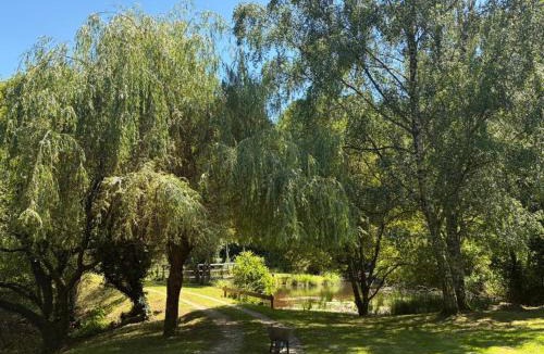 Cussac House | Les bouleaux