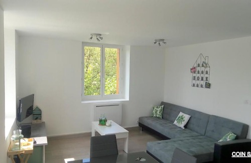 Saint-Etienne Apartment | Les Cactus